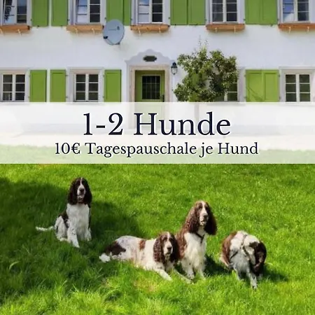 Seeberger Guetl - By 